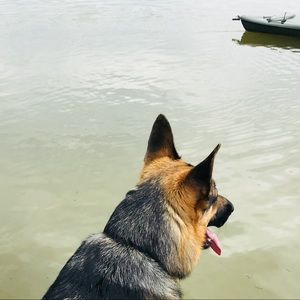 Meet your Posher, Caryn